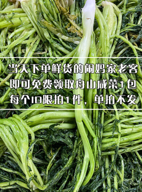 闹妈赠品雪菜当天下单鲜货客户专拍（限购1件 不包邮)