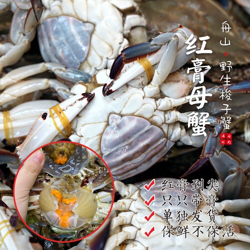 【保鲜不保活】闹妈海鲜舟山梭子蟹红膏母蟹3两左右/只 2斤/3斤