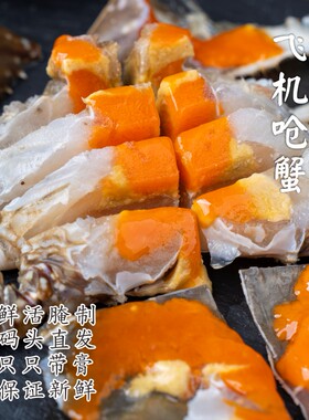 舟山红膏中飞机呛蟹梭子蟹