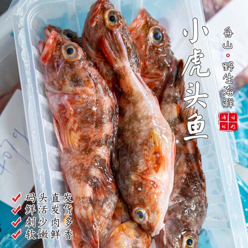 【闹妈海鲜】[热气]舟山虎头鱼 各种规格 按斤卖