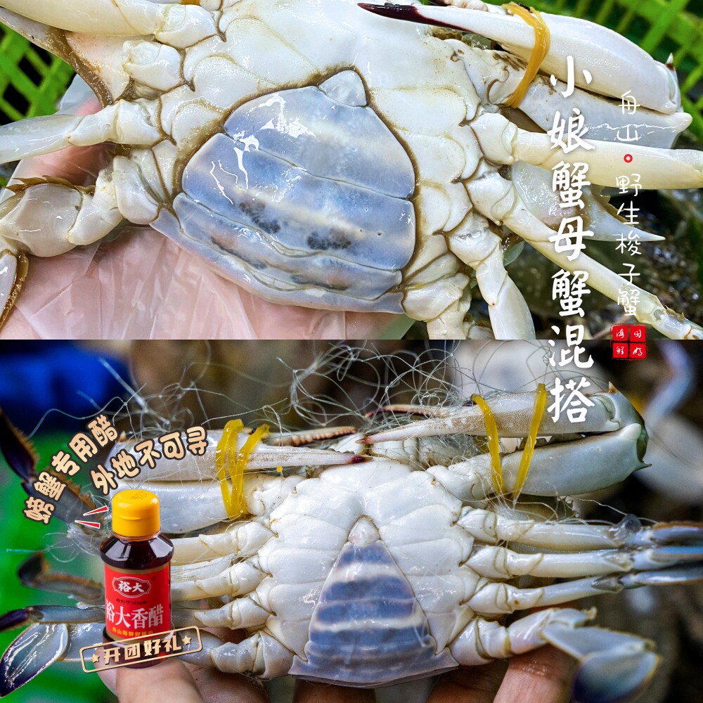 【保鲜不保活】闹妈舟山鲜梭子蟹 母蟹  3-4两左右/只 3斤装图片