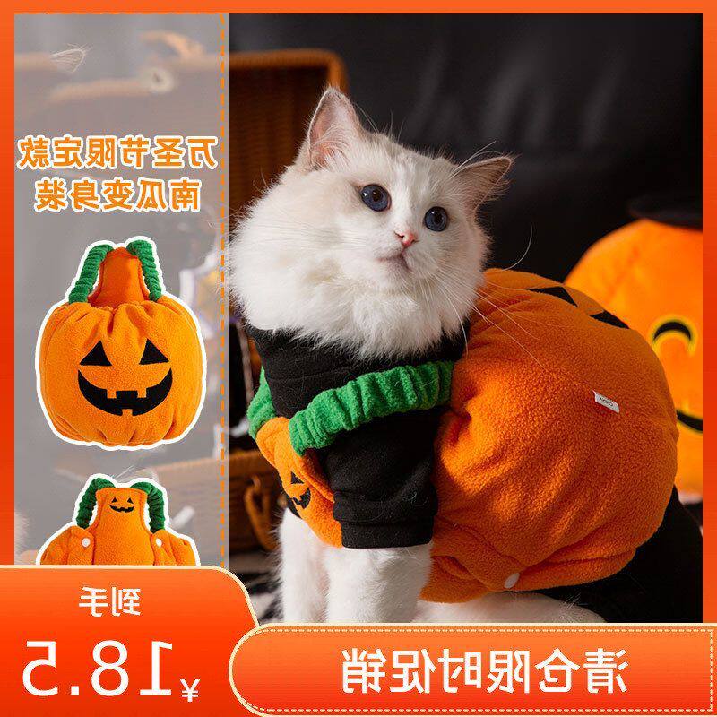 宠物衣服万圣节南瓜灯变身装小猫咪搞怪泰迪比熊圣诞节泰迪猫服饰