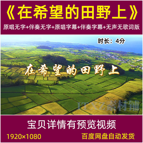 在希望的田野上 歌曲伴奏背景视频麦田丰收舞台演出大led大屏背景