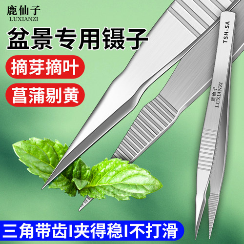 不锈钢镊子盆景园艺专用夹