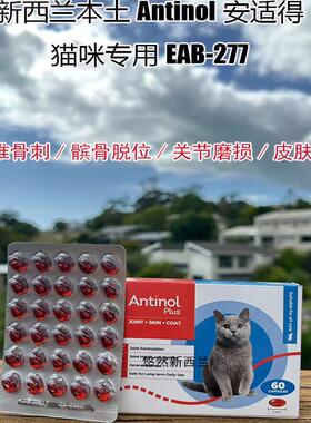新西兰本土Antinol安适得加强版524猫咪犬狗青口关节eab277安他诺