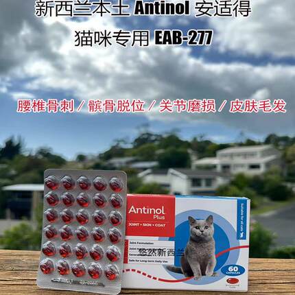 新西兰本土Antinol安适得加强版524猫咪犬狗青口关节eab277安他诺