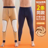 鸭鸭男士 秋冬季 保暖裤 男加绒加厚发热含羊毛双层护膝打底棉毛秋裤