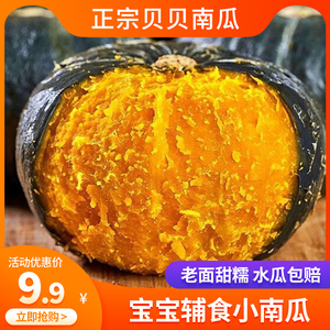 正宗贝贝南瓜板栗味新鲜宝宝孕妇辅食粉糯香甜小南瓜9斤装早餐