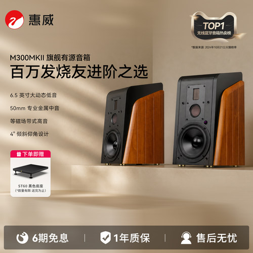 惠威M300MKII电视音箱客厅