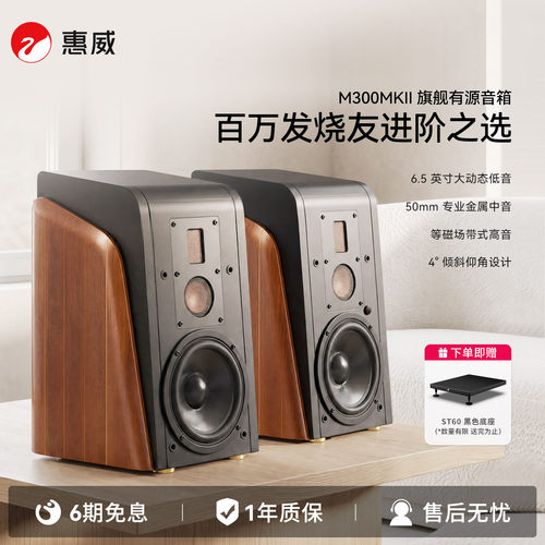 惠威M300MKII电视音箱