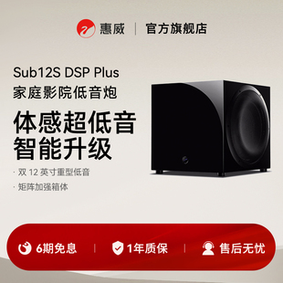 SWAN惠威SUB12S Plus有源超低音双12英寸有源低音炮震撼低频 DSP