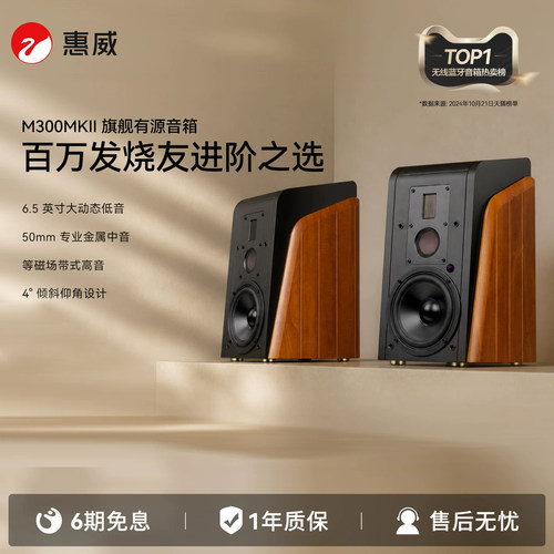 惠威M300MKII电视音箱客厅