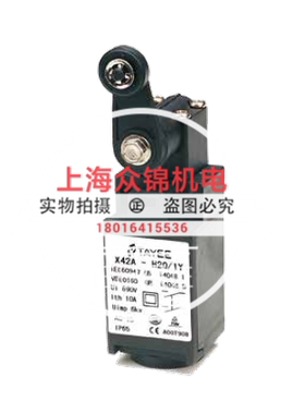 TAYEE开关1Y型，X42A-S11/1Y,X42A-S02/1Y,X42A-H11/1Y