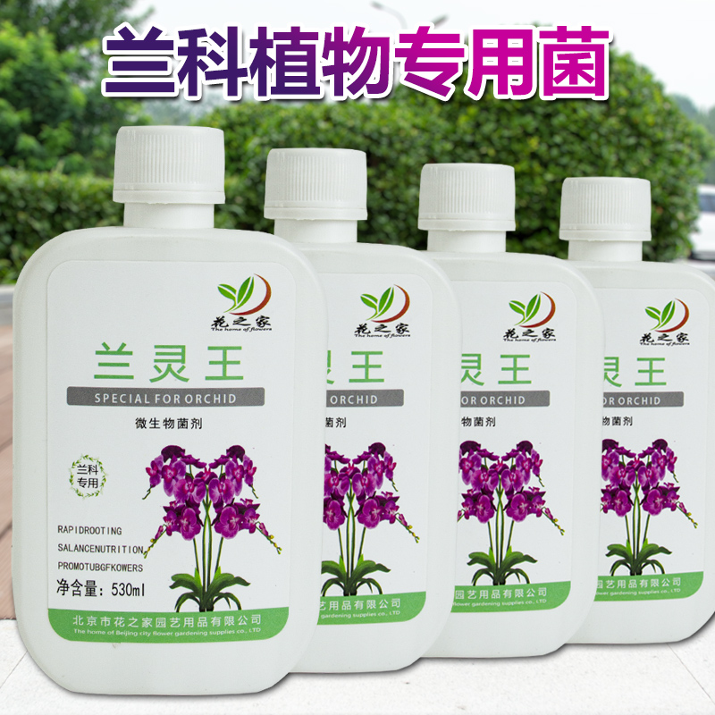 兰灵五兰科专用营养液微生物菌剂
