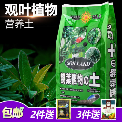 朝日通用观叶植物专用土营养土