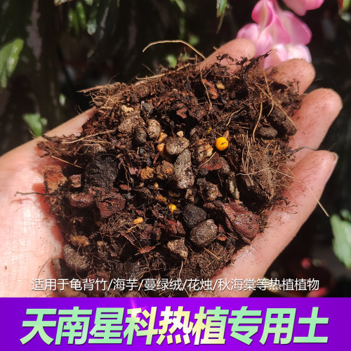 天南星科热植专用土颗粒营养土