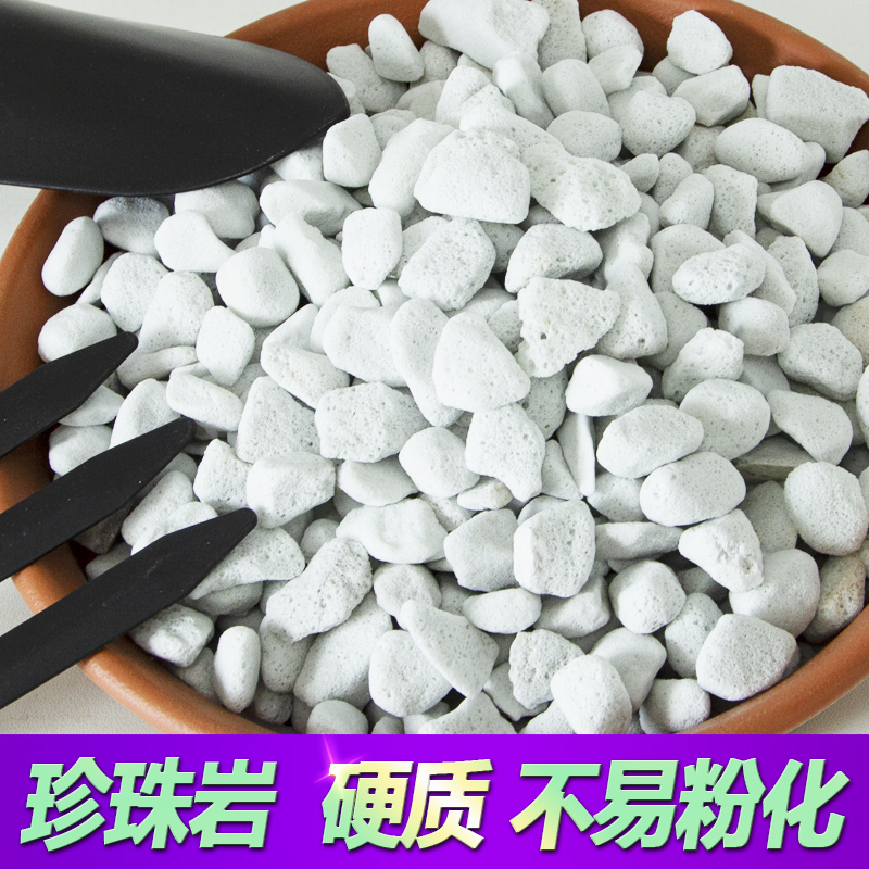 植物通用硬质大颗粒珍珠岩育苗