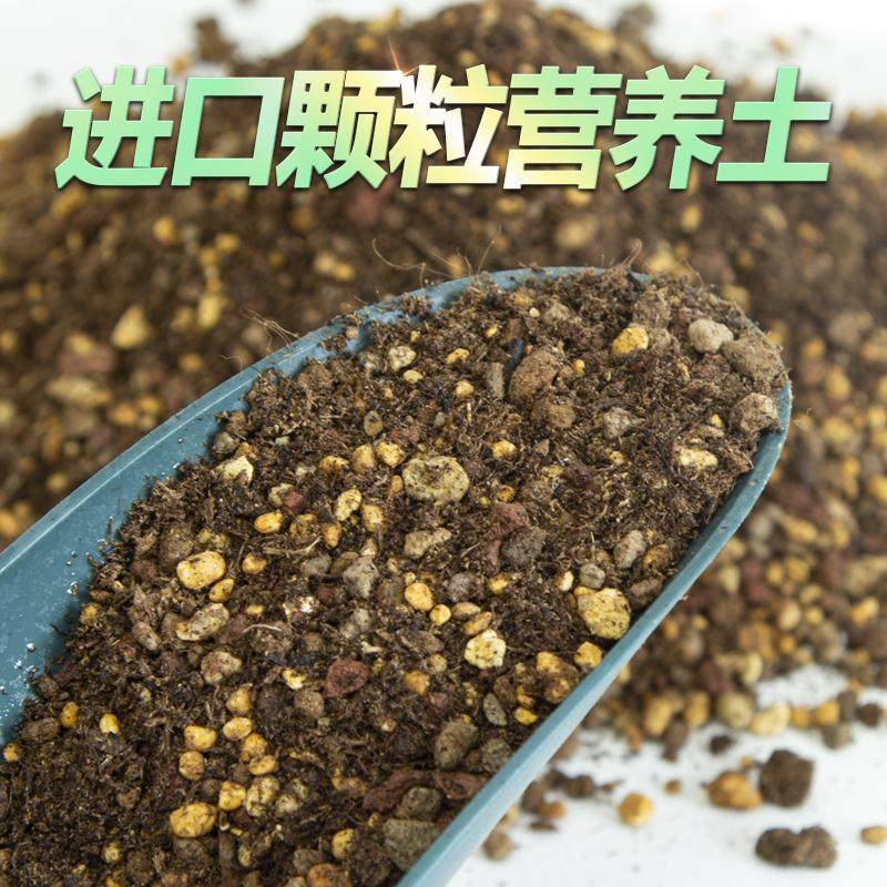 多肉全颗粒土植金石植物铺面种植桐生砂赤玉土火山岩兰花营养土