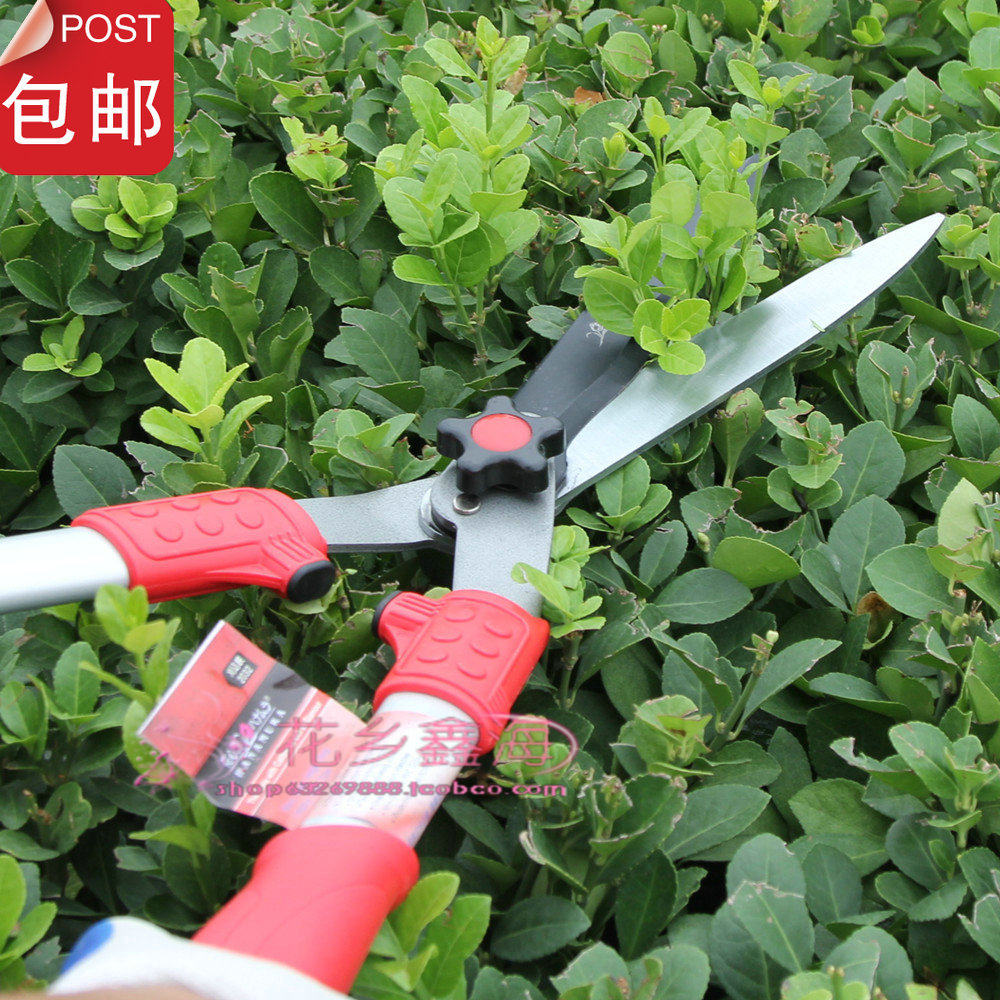 家庭园艺修枝修花篱笆剪绿篱剪图片