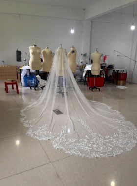 wedding dress头纱新娘主婚纱长款拖尾感蕾丝头纱结婚重工头饰
