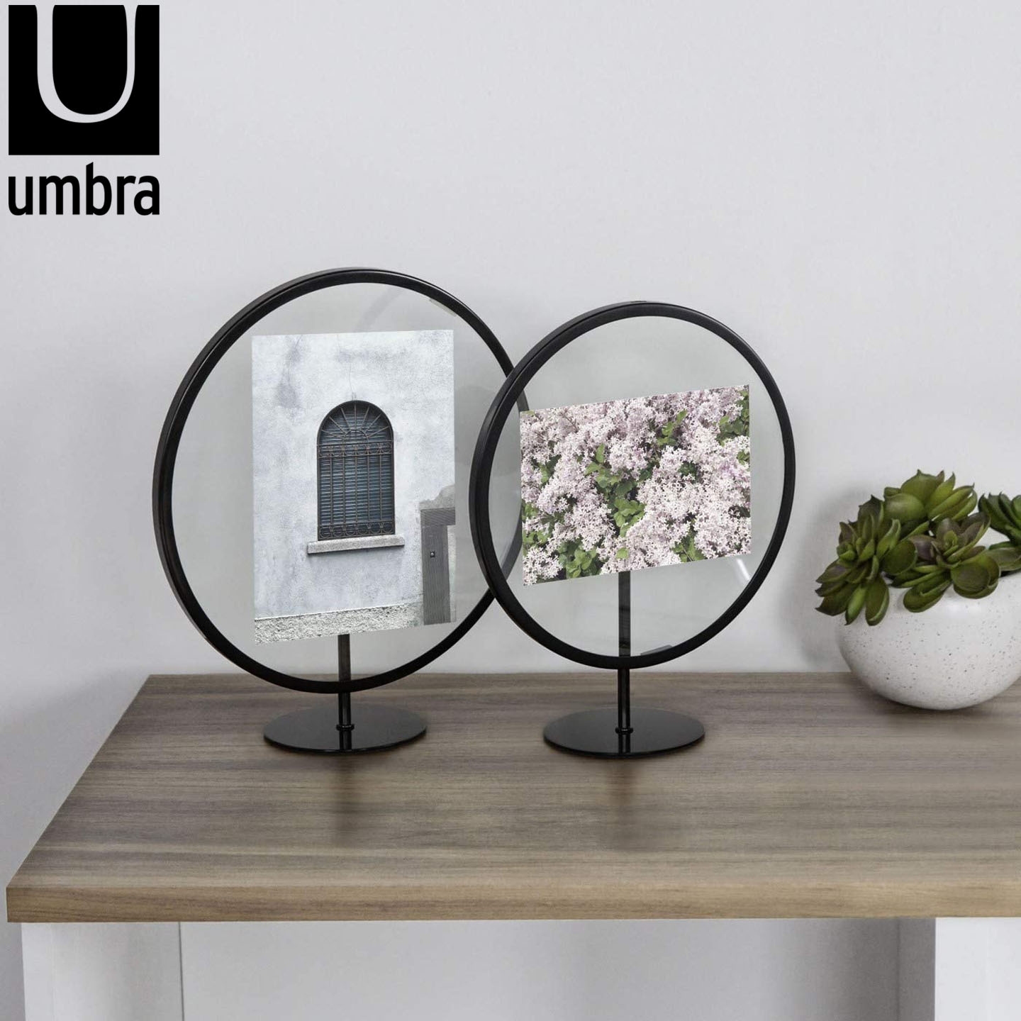 UMBRA简约金属圆形摆台相框图片