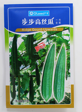 广良丝瓜高产清甜越夏栽培有优势