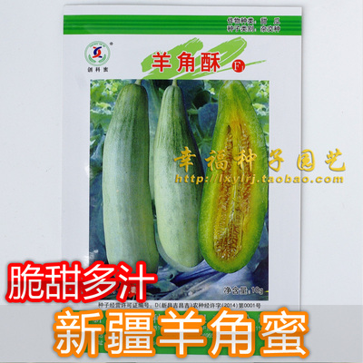 羊角蜜甜瓜种子酥脆甜瓜羊角脆瓜