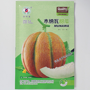 木纳瓦甜瓜 新疆老汉瓜联创哈密瓜种子厚皮甜瓜抗病高产歇克甜瓜