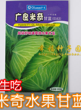 结球甘蓝种子卷心菜包菜洋白菜