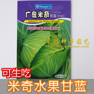 【米奇水果甘蓝种子】高丽菜口感好 洋白菜种子 包菜 好吃卷心菜