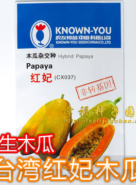 红肉木瓜种子生长势强结果期特早