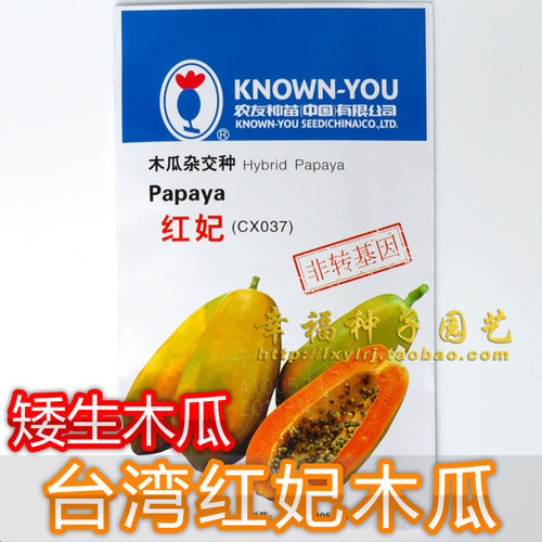 红肉木瓜种子生长势强结果期特早