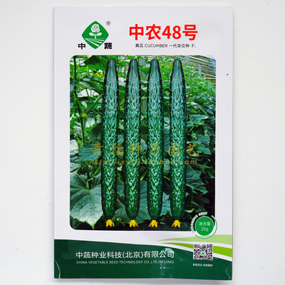 绿心黄瓜甜脆耐热广东全年可播种