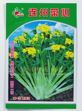 丰裕连州菜心种子增城迟菜心