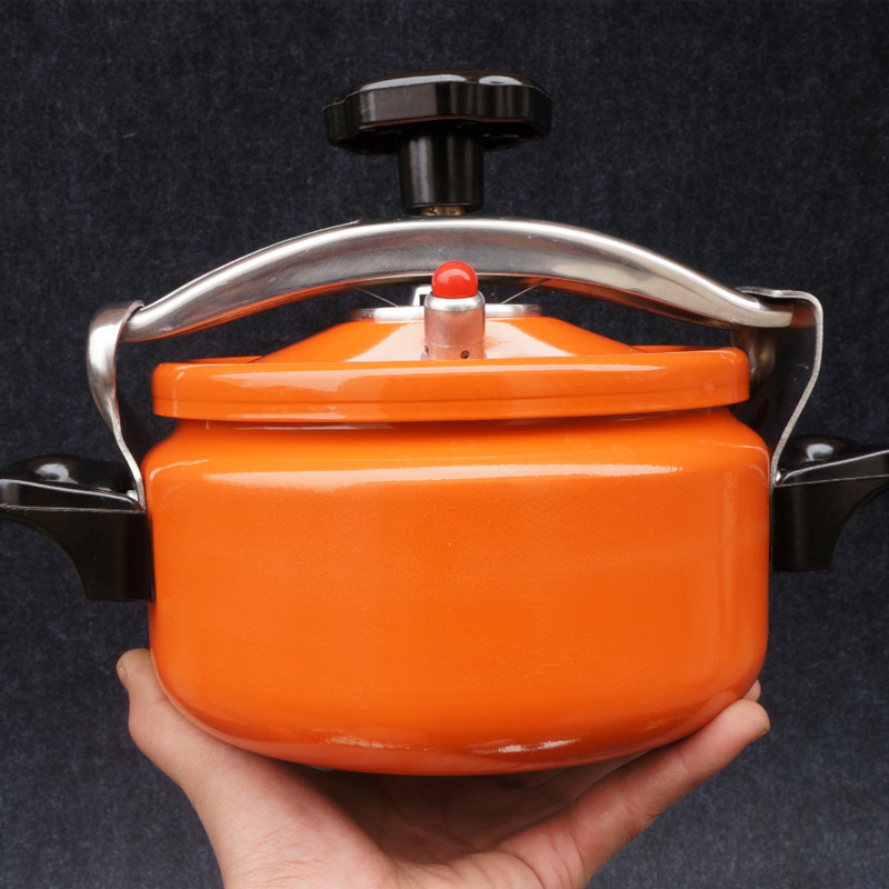 户外高压锅便携露营自驾游迷你小压力锅房车旅行野外高海拔大车用