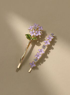 爆款紫藤花韩版轻奢高级感刘海碎发夹精致边夹拍照专用送女友
