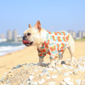 法斗衣夏季 T恤泰迪小型犬狗狗衣服 宠物防晒衣透气清凉小花狗汗衫