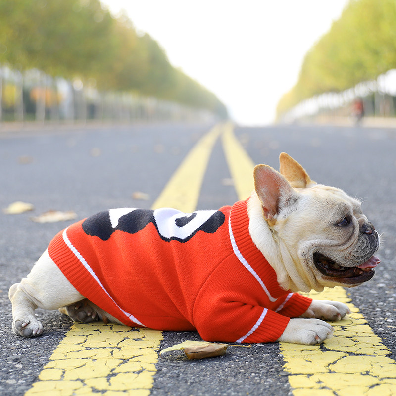 狗狗衣服秋冬天法斗泰迪中小型犬毛衫保暖熊猫宠物两脚衣针织毛衣