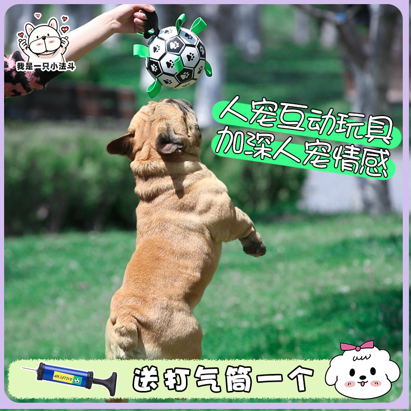 狗狗玩具球自嗨益智解闷神器互动球球训练小型犬法斗宠物足球耐咬