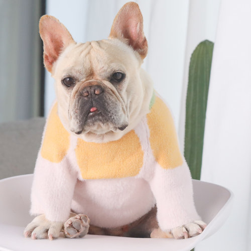 泰迪法斗博美贵宾小型犬加厚毛衣