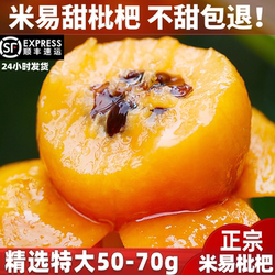 顺丰包邮四川攀枝花米易枇杷新鲜早钟枇杷大五星琵琶应季孕妇水果