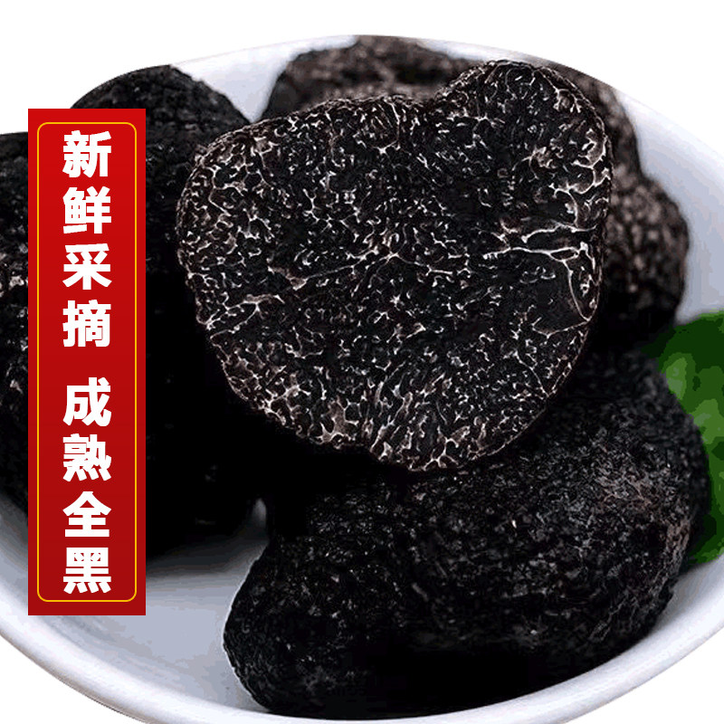 新鲜黑松露500g野生菌云南特产菌鲜茶色菌猪拱菌块菌菌菇刺身食用
