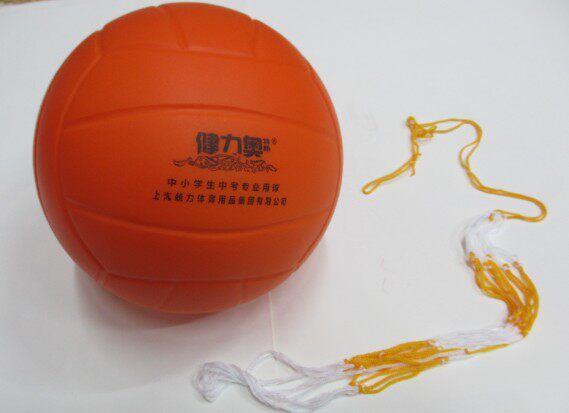 Ballon de volley-ball - Ref 2012632 Image 1