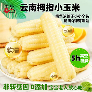 版纳软糯香甜拇指小玉米原汁原味