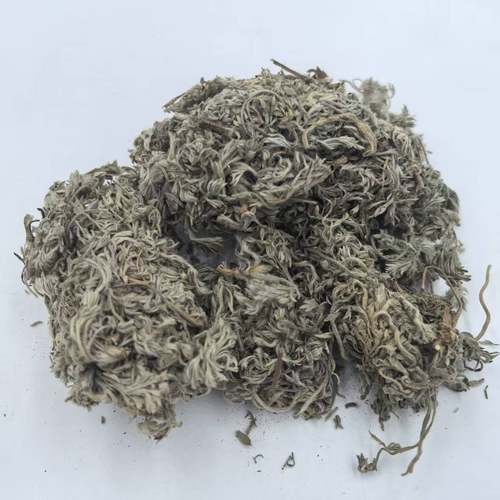 绵茵陈拍3斤包邮白蒿茵陈蒿