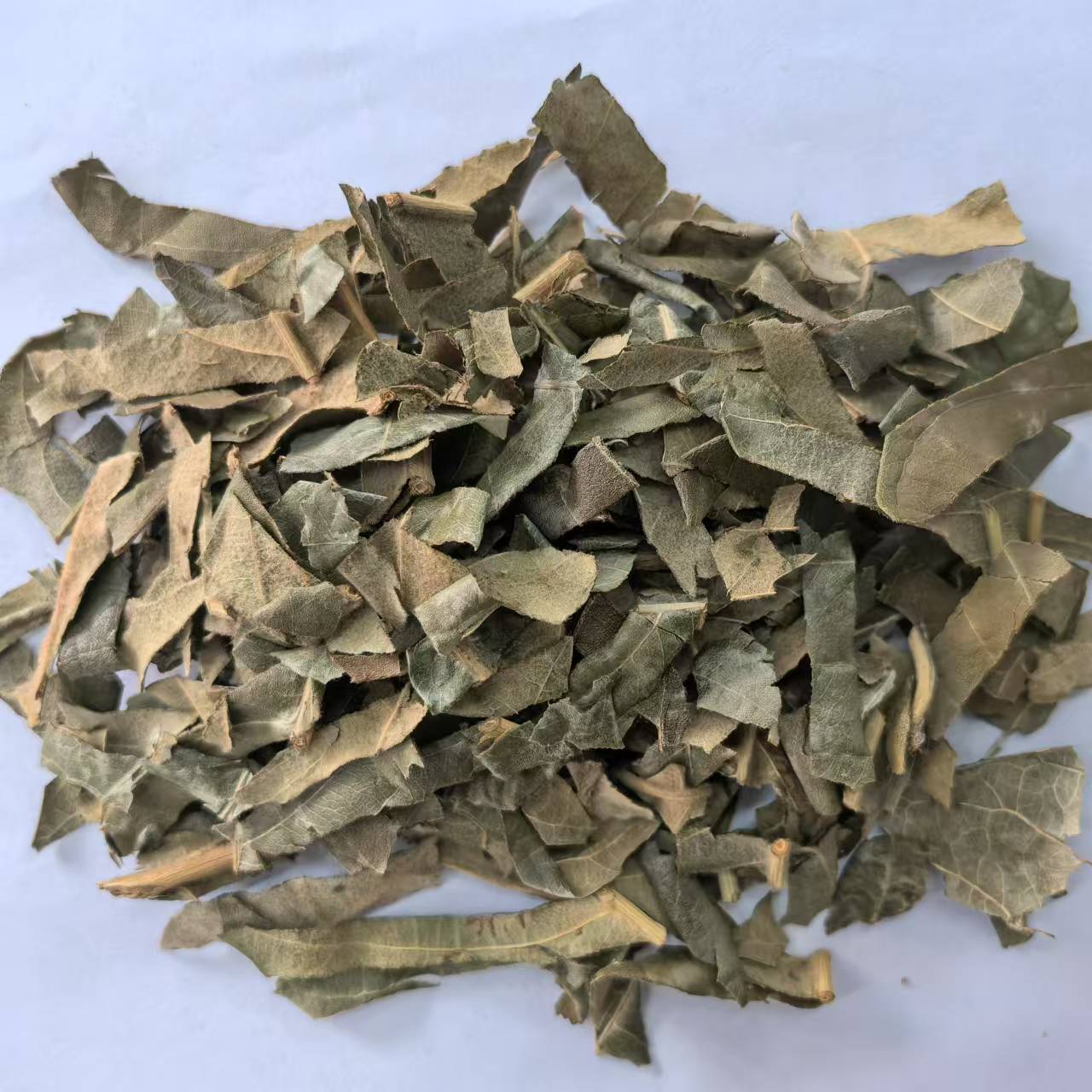 枇杷叶买2斤免邮琵琶叶中药材