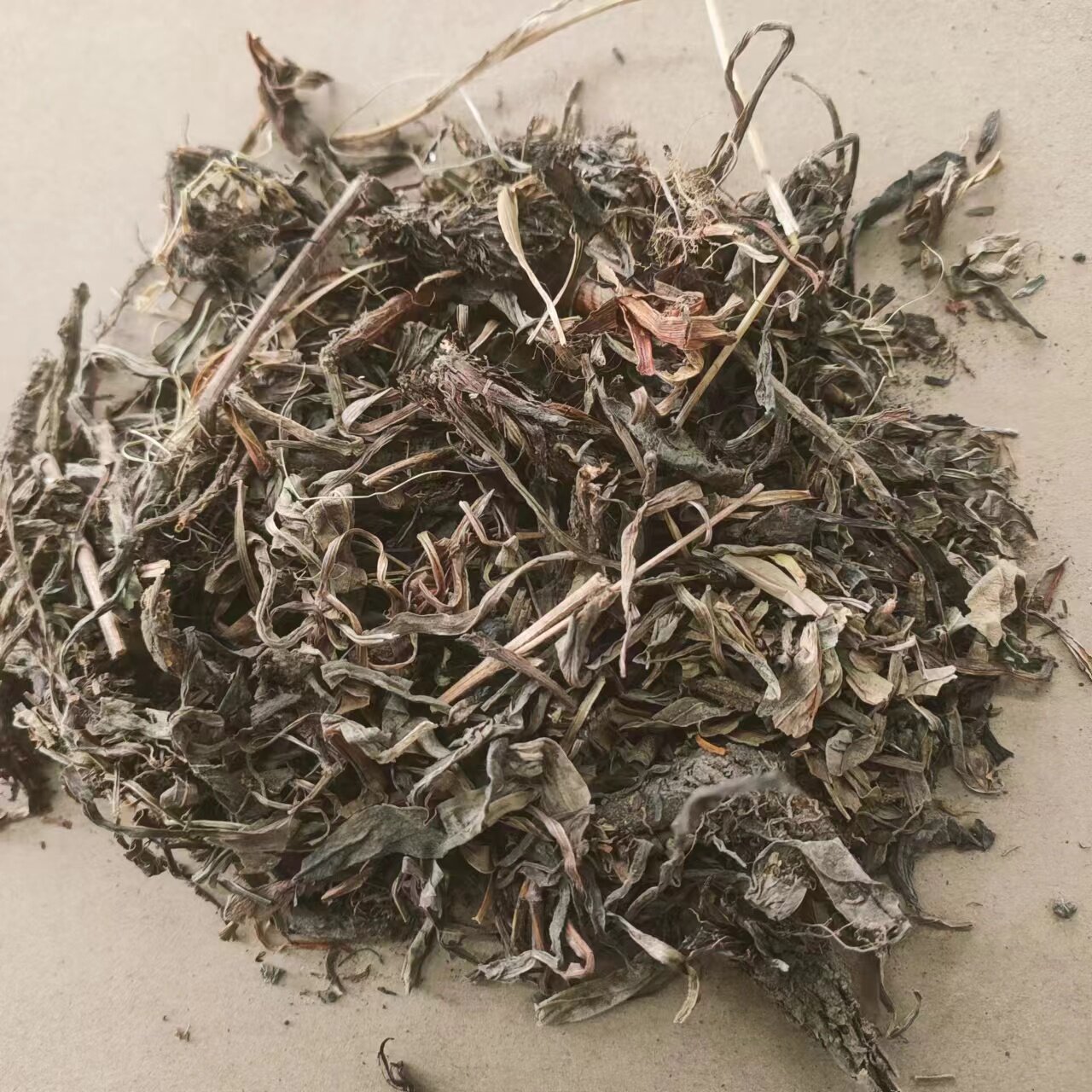 甘松 拍2斤包邮 香草 干松 香松干松 灵草排草 中草药材 500g克