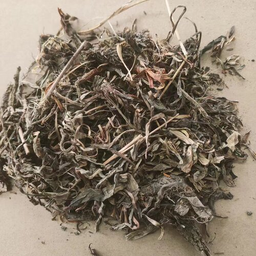 甘松 拍2斤包邮 香草 干松 香松干松 灵草排草 中草药材 500g克 - 封面