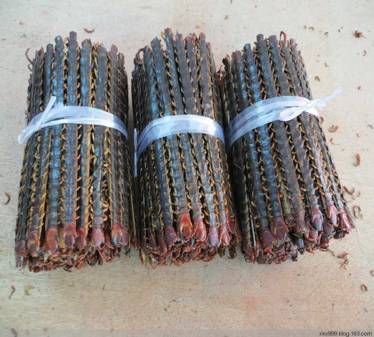 蜈蚣 特大蜈蚣干 虫体 蜈蚣虫 百足虫 千足虫 中药材 15cm公分