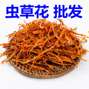 虫草花 2斤包邮 孢子头 金虫草 蛹虫草花 北虫草 500g克49元